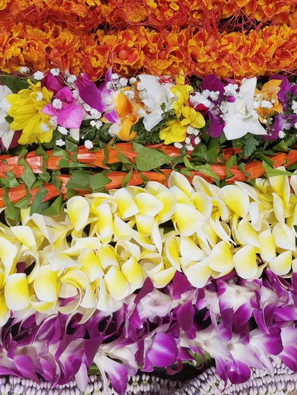 May Day Is Lei Day tickets
